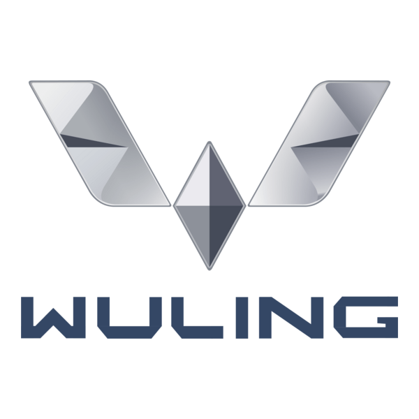 Đại Lý Ô Tô Điện Wulingev
